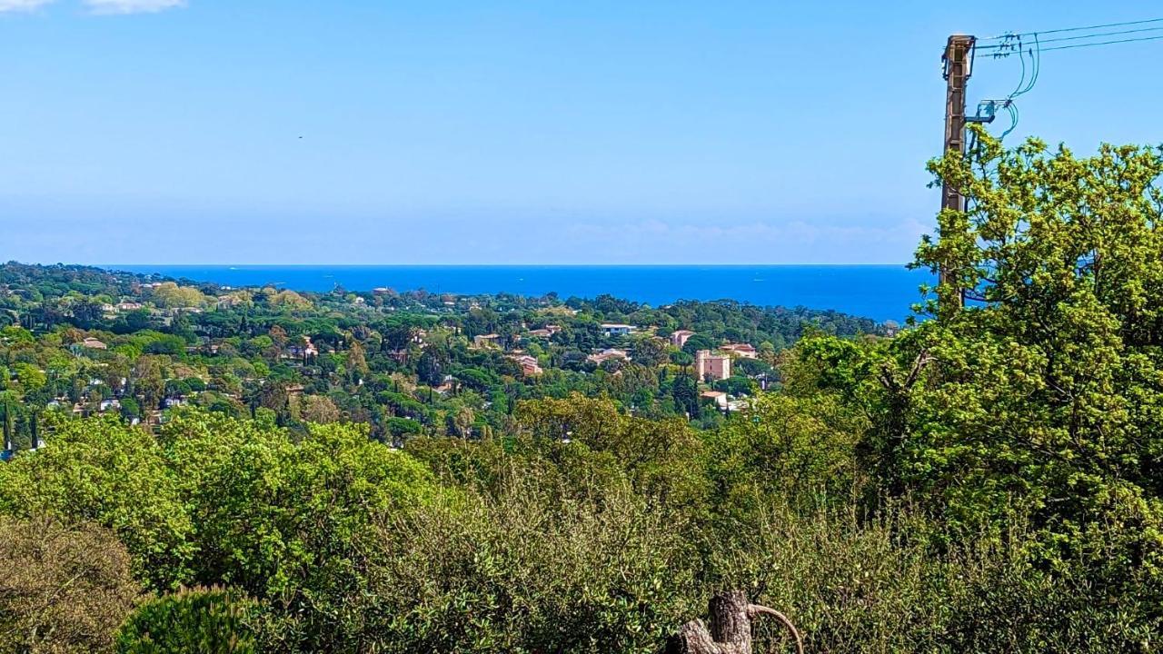 Les Restanques 2150 Vue Mer Grimaud Bagian luar foto